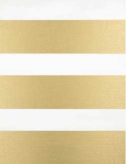 Ρολοκουρτίνα διπλή zebra 4060-04 μπεζ-χρυσό