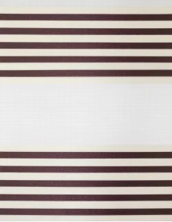 Ρολοκουρτίνα διπλή zebra RM-17 εκρού-καφέ