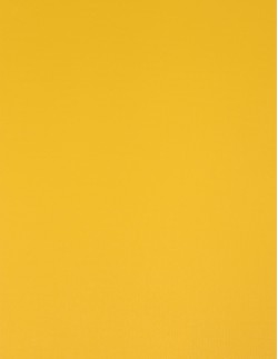 Ρολοκουρτίνα μονόχρωμη SK 1535 κίτρινο