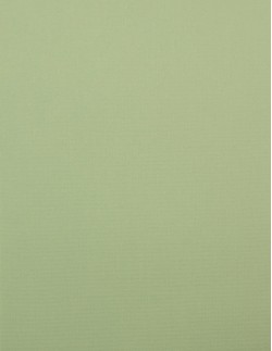 Ρολοκουρτίνα μονόχρωμη SK 202056 πράσινο