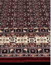 Elite Home Carpet Premium Collection Χαλί ATLAS 125 x 220