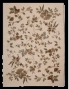 Elite Home Carpet Premium Collection Χαλί ATLAS 160 x 230