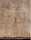 Elite Home Carpet Premium Collection Χαλί SCANDI 120 x 160