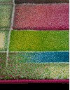 Elite Home Carpet Premium Collection Χαλί VEGAS 80 x 150