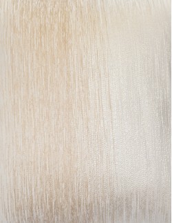 Μαξιλάρι διακοσμητικό εκρού - μπεζ με φερμουάρ (45 x 45) - Elite Home