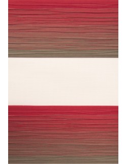 Ρόλερ Διπλό Magic Zebra (Roller Craft 16410-006)