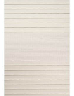 Ρόλερ Διπλό Magic Zebra (Roller Eden PE-01)
